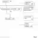 Fig. 05 - System and method for fat and water diagnostic imaging