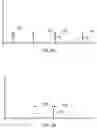 Fig. 04 - Techniques for compensating for ego-velocity and target velocity in the digitally-sampled target signal
