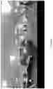 Fig. 07 - Image correction for lasers scanners