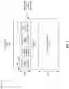 Fig. 02 - COMPOSITE OPTICAL FILTER