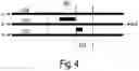 Fig. 05 - Optical Circuit