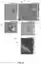 Fig. 09 - Systems and methods for laser scissors and tweezers with a quantitative phase microscope (QPM)