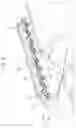 Fig. 09 - DRUM MEMBER AND IMAGE FORMING APPARATUS