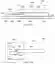 Fig. 18 - Hermetic vial for quantum transitions detection in electronic devices applications