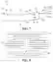 Fig. 05 - Method for Controlling Wearable Device, and Wearable Device
