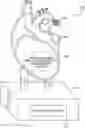 Fig. 01 - POST-MEDICAL-PROCEDURE THERAPY DEVICE MANUFACTURED BASED ON MEDICAL IMAGERY AND CUSTOMIZED INFORMATION OF PATIENT AND METHOD OF MANUFACTURING THE SAME