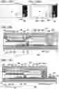 Fig. 14 - ELECTRONIC DEVICE
