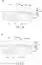 Fig. 16 - Electronic device comprising camera module