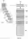 Fig. 07 - LDPC encoding for memory cells with arbitrary number of levels