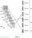 Fig. 08 - LDPC encoding for memory cells with arbitrary number of levels