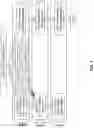 Fig. 03 - CACHE PROBE TRANSACTION FILTERING