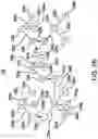 Fig. 04 - Automatic database script generation for copying data between relational databases