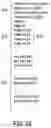 Fig. 17 - Query-as-a-service system that provides query-result data to remote clients