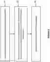 Fig. 07 - SYSTEM AND METHOD FOR IN-PLACE DATA WRITES TO REDUCE FRAGMENTATION IN A MULTIDIMENSIONAL DATABASE ENVIRONMENT