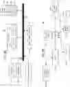 Fig. 08 - Prediction of NBA talent and quality from non-professional tracking data