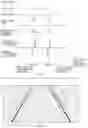 Fig. 12 - Lane-line recognizing apparatus for vehicle