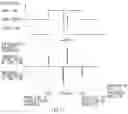 Fig. 13 - Lane-line recognizing apparatus for vehicle
