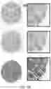 Fig. 13 - TISSUE MICROENVIRONMENT ANALYSIS BASED ON TIERED CLASSIFICATION AND CLUSTERING ANALYSIS OF DIGITAL PATHOLOGY IMAGES