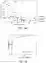Fig. 16 - TISSUE MICROENVIRONMENT ANALYSIS BASED ON TIERED CLASSIFICATION AND CLUSTERING ANALYSIS OF DIGITAL PATHOLOGY IMAGES
