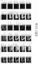 Fig. 15 - Model selection for production system via automated online experiments