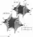 Fig. 01 - PHYSICS AUGMENTED NEURAL NETWORKS CONFIGURED FOR OPERATING IN ENVIRONMENTS THAT MIX ORDER AND CHAOS