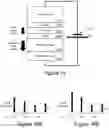 Fig. 19 - Ultralow power inference engine with external magnetic field programming assistance