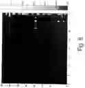 Fig. 08 - GRAPH SUMMARIZATION APPARATUS, GRAPH SUMMARIZATION METHOD AND PROGRAM
