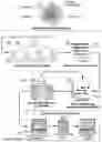Fig. 08 - SYSTEM FOR CREATING IDEAL EXPERIENCE METRICS AND EVALUATION PLATFORM