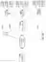Fig. 254 - INDUSTRIAL DIGITAL TWIN SYSTEMS AND METHODS WITH ECHELONS OF EXECUTIVE, ADVISORY AND OPERATIONS MESSAGING AND VISUALIZATION
