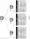 Fig. 07 - DYNAMIC CONTENT ENRICHMENT