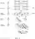 Fig. 08 - Data processing method, system, and non-transitory computer-readable medium