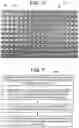 Fig. 04 - METHOD AND SYSTEM OF EFFICIENT IMAGE RENDERING FOR NEAR-EYE LIGHT FIELD DISPLAYS