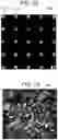 Fig. 11 - METHOD AND SYSTEM OF EFFICIENT IMAGE RENDERING FOR NEAR-EYE LIGHT FIELD DISPLAYS