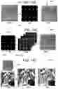 Fig. 12 - METHOD AND SYSTEM OF EFFICIENT IMAGE RENDERING FOR NEAR-EYE LIGHT FIELD DISPLAYS