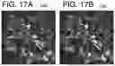 Fig. 15 - METHOD AND SYSTEM OF EFFICIENT IMAGE RENDERING FOR NEAR-EYE LIGHT FIELD DISPLAYS