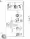 Fig. 44 - Image generation using one or more neural networks