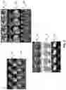 Fig. 08 - Conditional axial transformer layers for high-fidelity image transformation