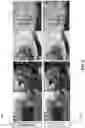 Fig. 12 - Conditional axial transformer layers for high-fidelity image transformation