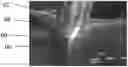 Fig. 01 - Method and apparatus for automated adhesive wash-off quality control and root-cause analysis using artificial intelligence