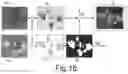 Fig. 10 - PROCESS, DEVICE AND PROGRAM FOR MONITORING THE STATE OF PLANTS