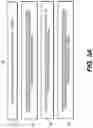 Fig. 06 - Systems and methods for processing electronic images to provide localized semantic analysis of whole slide images