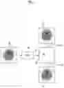 Fig. 08 - Learning device, method, and program, medical image processing apparatus, method, and program, and discriminator