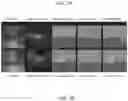 Fig. 04 - RGBD video semantic segmentation with temporal and geometric consistency