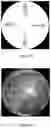 Fig. 09 - System and method for detecting objects in video images
