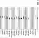 Fig. 09 - Method and system for monocular depth estimation of persons
