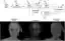 Fig. 01 - Dense mesh compression