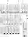 Fig. 11 - Video based mesh compression
