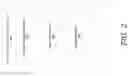 Fig. 03 - Adaptable drawing guides