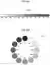 Fig. 17 - Methods for displaying recorded physical machine measured state data vs time