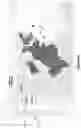 Fig. 14 - Map data visualizations with multiple superimposed marks layers